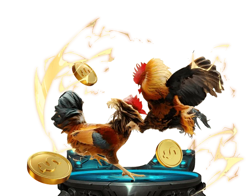 Bước 1: Đăng ký tài khoản S666.me